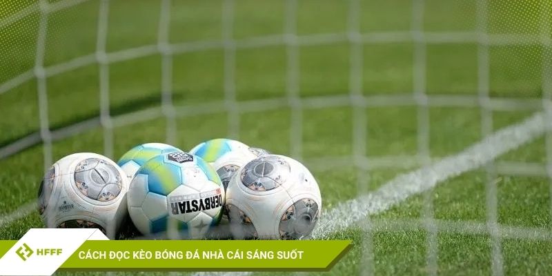 Cách đọc tỷ lệ kèo bóng đá nhà cái