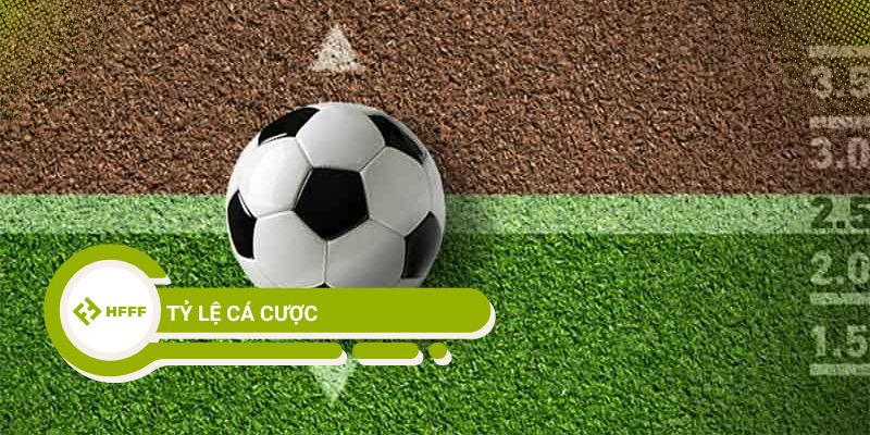 5 loại tỷ lệ cá cược dễ "cháy túi" cho người mới