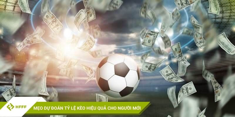 Mẹo dự đoán tỷ lệ kèo hiệu quả cho người mới