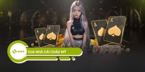 Top 5 Ông Vua Nhà Cái Châu Mỹ Này Sẽ Khiến Bạn Hết Hồn