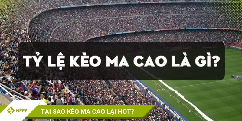 Tìm hiểu chi tiết về tỷ lệ kèo Ma Cao