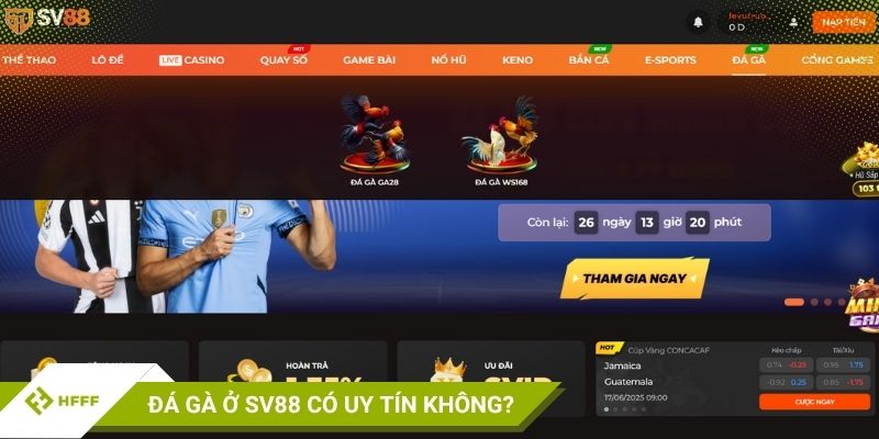 sv88 đá gà trực tiếp